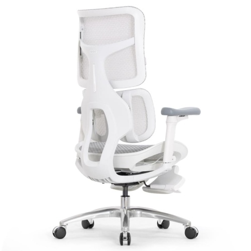 Ортопедическое кресло Falto Scala Office серое Ортопедическое кресло Falto Scala Office серое